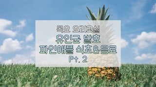 발효신문 황세란유인균 발효연구원 - 목요일 진구청 요리교실 : 유인균 발효 파인애플 식초\u0026음료 Pt.2 (2017.03.16)