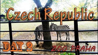 Пражский зоопарк, наш второй день в Чехии. Самый большой зоопарк в моей жизни. Zoo Praha