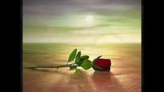 Mike Lacey Sings "The Rose".wmv