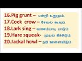 daily english class 62 sounds of animals and birds ஒலி மரபுச் சொற்கள்