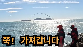 오랜만에 손죽도를 다녀왔습니다