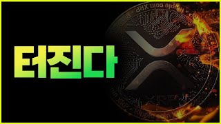 리플.. 큰 거 온다. 솔라나 ETF 거절