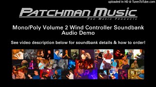 Patchman Music Mono/Poly Volume 2 Soundbank Demo