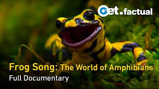 Frog Song: The World of Amphibians - Full Documentary