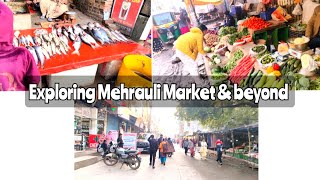 Exploring Mehrauli Market \u0026 Jahaz Mahal! \u0026 Searching samosa shop 😂💔 must watch 😱