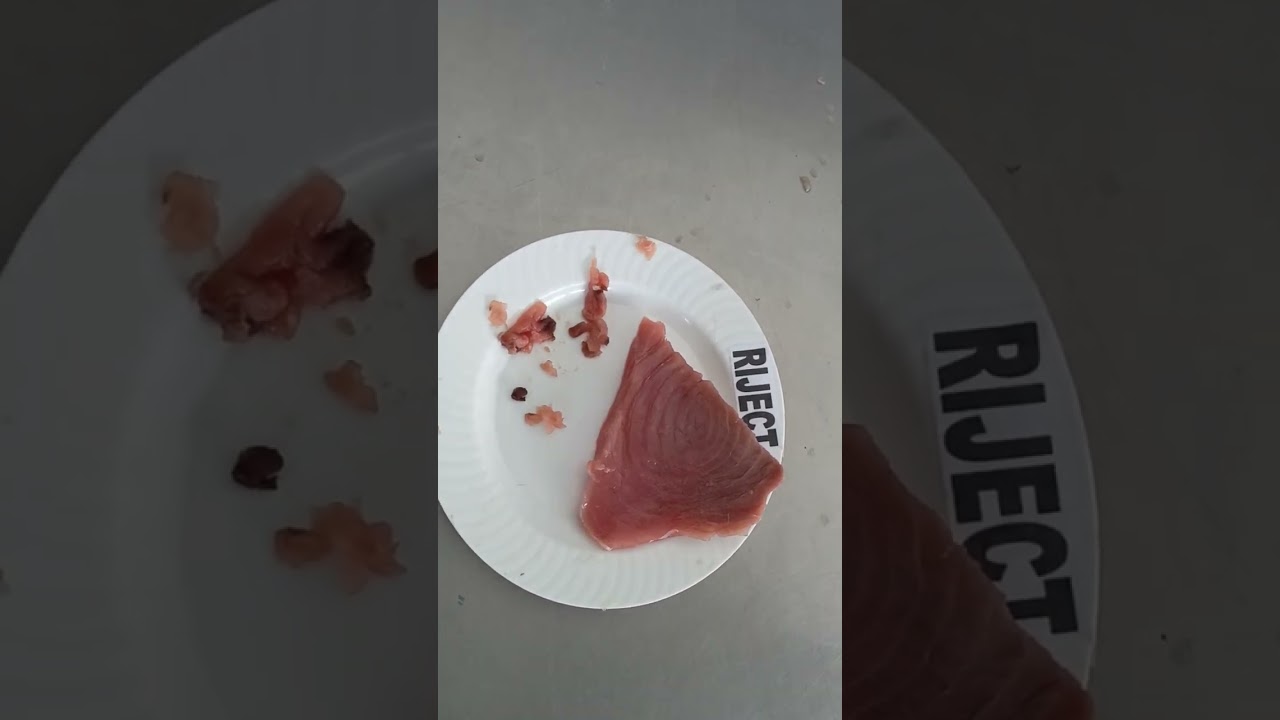 Grading Tuna Youtube