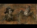 hieronymus bosch touched by the devil official trailer 1 2016 documentary