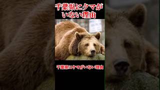 【ゆっくり解説】千葉県にだけクマがいない理由 #ゆっくり解説 #クマ#千葉県