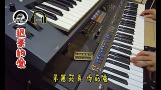 電子琴經典老歌演奏 《迟来的爱》Keyboard Cover : LumBaBa