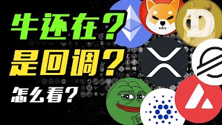 BTC回调结束？山寨币怎么看？PEPE | SHIB | ADA | XRP | AVAX | DOGE | WIF | ETH  |XLM | 加密货币