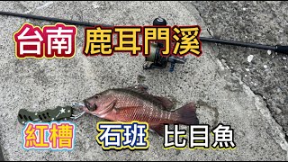 台南鹿耳門溪 觀光釣點 路亞天堂? 紅槽 石斑 比目魚 生態豐富 #路亞 #鹿耳門溪 #自由釣組