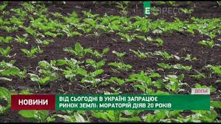 Від сьогодні в Україні запрацює ринок землі: мораторій діяв 20 років