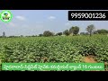 siddipet hyderabad road 16 gunta of land for sale in siddipet pure commercial land low price..