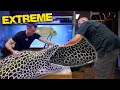 We Did an Extreme Eel Aquarium Makeover, it Was Terrifying!