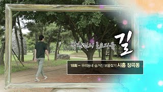 [로드다큐 길 시즌2 18회] 우리동네 숨겨진 보물찾기 시흥 장곡동