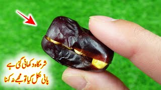 I Eat This Dates and Dried Chickpeas Recipe In My Daily Routine