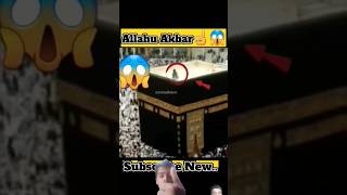 Best & Worst islamic shorts  Trends&ya Allah 😱😱😱👈☝️🤲 #shorts #islamicvideo #viral #allah