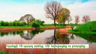 Կյանքի 10 պարզ օրենք․ Մի՛ «նվնվացեք» ու բողոքեք․․․