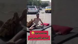 شیراز شهر آرامش به روایت تصویر