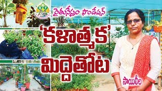 Terrace Garden with Beautiful Make Over Art | Sai Leela || Vanasthalipuram