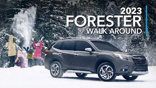 2023 Subaru Forester and Forester Wilderness Walk Around – Always ready for adventure