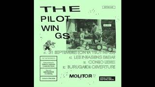 The Pilotwings - Congo Libre - Molitor 71 - BFDM005