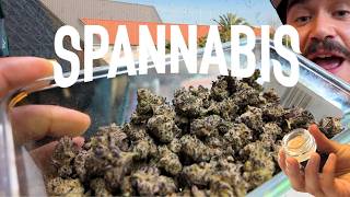 is Spain LIT? Full Documentary of Spannabis