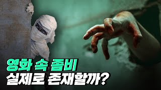 [핫클립] 좀비가 과학적으로 존재하지 않는 이유 / YTN 사이언스