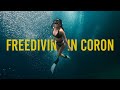 Free Diving in Coron Palawan - Best in The Philippines (Dugong, Shipwrecks, Barracuda Lake and more)