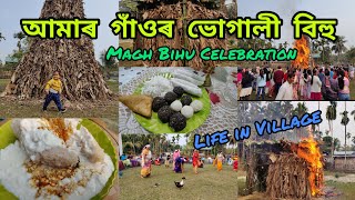 আমাৰ গাঁওৰ ভোগালী বিহু Magh Bihu Celebration at my village #maghbihu2023 #assam