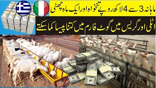 Italy Farming | Italy Job | Germany | Greece | Business | Earn | Money | Pakistani | Indian |
