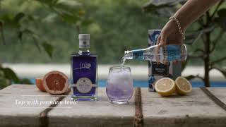 Making the perfect gin and tonic with Ink Gin