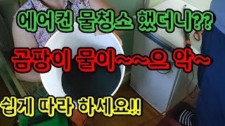 고시원 에어컨 물청소안하면 곰팡이와 함께 호흡한다