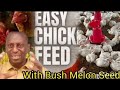 Cheap Poultry Feed Formulation with Local Feedstuff | Broiler Starter FEED with Bush Melon Seed MEAL