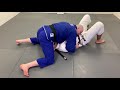 the dynamic pin in brazilian jiu jitsu by john danaher