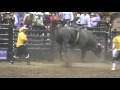 Shay Marks hangs on to King Pin to win in Prince Albert (PBR)