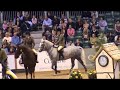 dancing hero hoys 2010