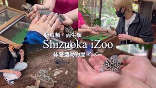 【静岡】爬虫類に触れられる動物園が楽しすぎた(iZoo イズー) A zoo where you can touch reptiles was too much fun