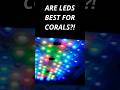 Are LEDs the Best for Reef Tank Lighting? #brstv