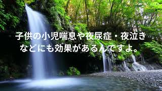 ①鍼って効くの？【鍼灸入門編】〜鍼灸師　娘からお届けします！