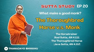 Sutta study EP 20: How the Buddha trains his disciples (Kesi sutta) |Thanajayo Bhikkhu|  15 Aug 2023