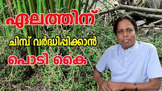 ഏലത്തിന് ചിമ്പ് | ചര൦ വർദ്ധിപ്പിക്കാൻ ടിപ്സ് | Cardamom Plantation tips  | Njaanoru Malayali