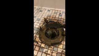 Leaking Toilet repair: replacing wax ring with rubberized ring.