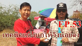 เทคนิคการแต่งนกให้วิ่งน้อยลง EP.53