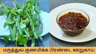 மருத்துவ குணமிக்க பிரண்டை ஊறுகாய் செய்முறை ரகசியம் |  Pirandai oorugai| Pirandai Pickle Recipe