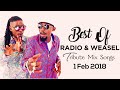 Best Of Radio  Weasel Tribute Mix Songs 2018
