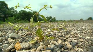 Western India experiencing worse drought in decades