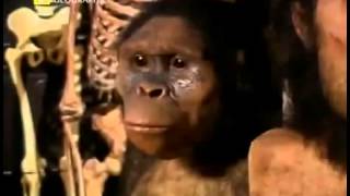 Decoding DNA Documentary