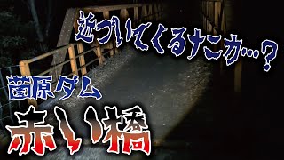 #3 薗原ダムの赤い橋。不気味橋でした