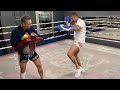 günter scheller personal thaibox training